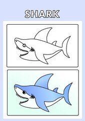 vector illustration of a shark