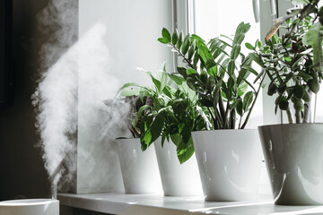 Humidification for cultivation of house plants. The steam from the air humidifier in the room. - obrazy, fototapety, plakaty