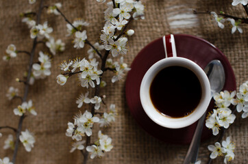 a cup of coffee with flowering tree branches