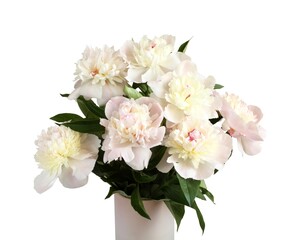 Bouquet of small light pink peonies on white background