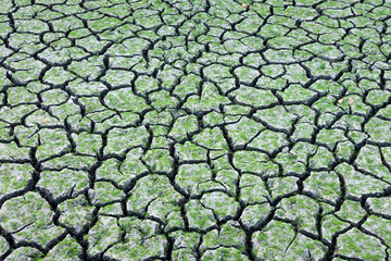 cracked mud  going dry ground in drought land
