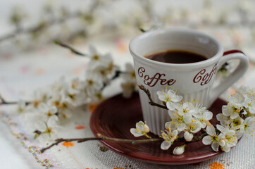 a cup of coffee with flowering tree branches