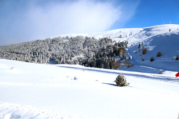 Fototapeta na wymiar Beautiful snowy forest and snow view on a cold winter day in Uludag, Bursa, Turkey. Ski resort.