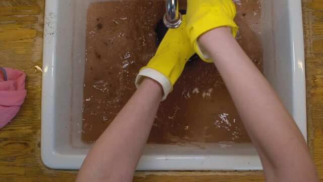Close up female hands in protective gloves cleaning a blockage in a kitchen sink with a plunger. Success, water goes to drain. Reparing of plumbing. Top view