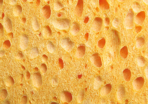 “Sponge Background” Images – Browse 116 Stock Photos, Vectors, and