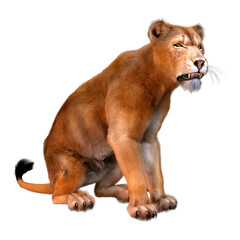 Obraz premium 3D Rendering Female Lion on White