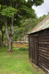 old log cabin