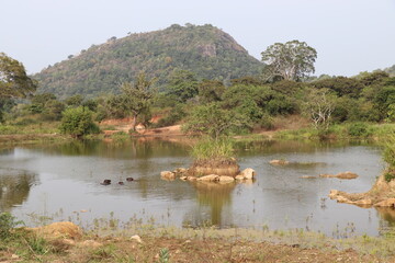 Paysages Hurulu Eco Park Sri Lanka 