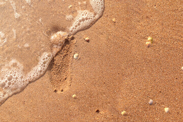 wave washes away footstep in sandy on the beach, with copy space