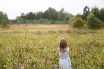 Naklejka na ściany i meble Caucasian child girl in the field, view from the back. Mood concept