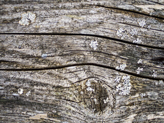  Wood With Cracks