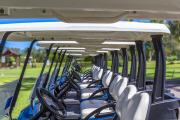 golf carts in a golf course