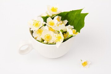 Jasmine flowers whith cup of tea on white background. Space for text