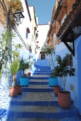 chefchaouen 