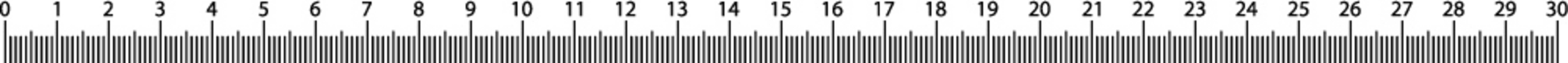 30 centimeters metric vector ruler with  black and white color. School equipment