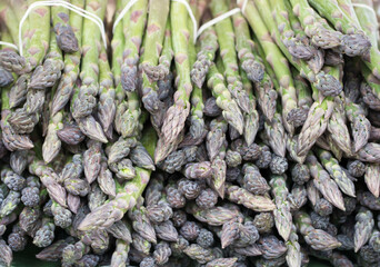 spargel
