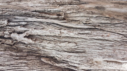 Naklejka na ściany i meble wood texture perspective nature brown