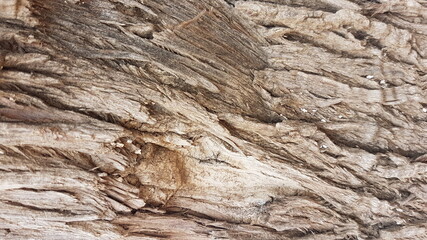 wood texture perspective nature brown