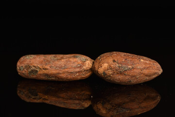 Fototapeta na wymiar Organic, natural cocoa beans, close-up, on a white background.