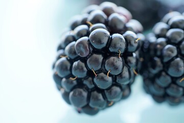 close up of blackberry 