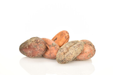 Organic, natural cocoa beans, close-up, on a white background.