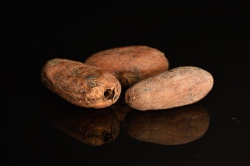 Organic, natural cocoa beans, close-up, on a white background.