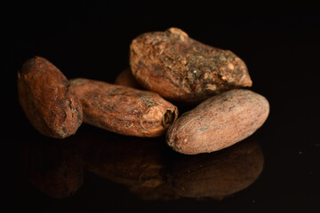Organic, natural cocoa beans, close-up, on a white background.