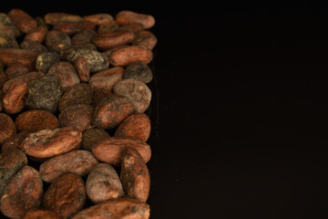 Organic, natural cocoa beans, close-up, on a white background.