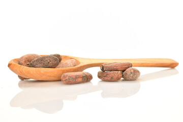 Organic, natural cocoa beans, close-up, on a white background.