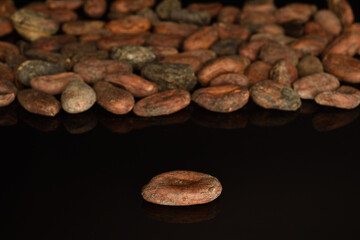 Organic, natural cocoa beans, close-up, on a white background.