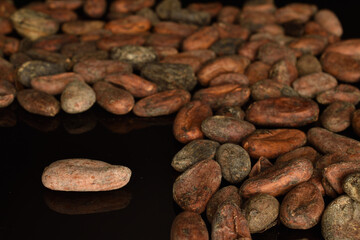 Organic, natural cocoa beans, close-up, on a white background.