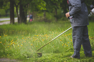 A worker in gray protective clothing with a lawnmower in his hands mows grass next to the road and trees in the background. A man mows grass with dandelions with a trimmer on a spring evening. Toning