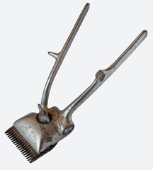 Old hairdresser clipper