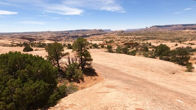 Desert forest trees slick rock mountain. Desert. Tourists visitors worldwide visit Arches and Canyonlands National Parks. Recreation, 4x4 red slick rock trail climbing exploring.