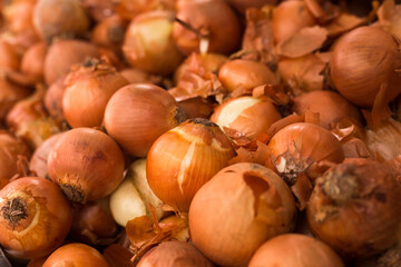 bulb onion in wicker baskets on market counter
