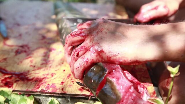 Fisherman cleaning freshwater fish on wooden board outdoor. Preparing raw food. 