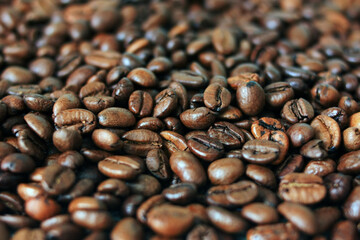 Roasted coffee beans lie in bulk