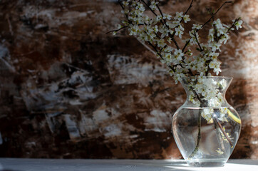 flowering tree branches in a transparent vase