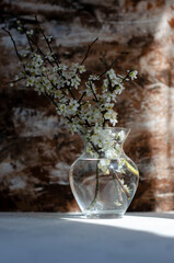 flowering tree branches in a transparent vase