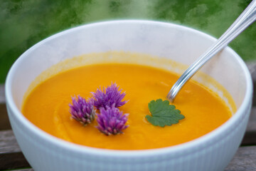 Bio Kürbissuppe Landhaus