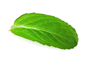 Obraz premium Fresh mint leaves isolated on white background
