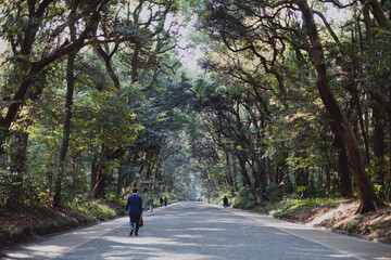 Parc Ueno Japon Tokyo