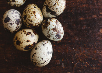 Fototapeta premium quail egg close-up on a wooden background