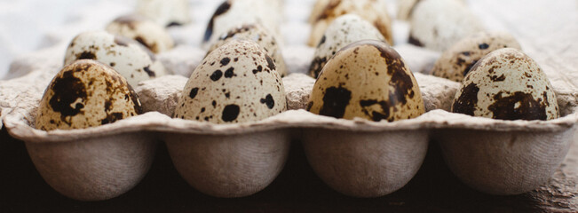 quail egg close-up on a wooden background