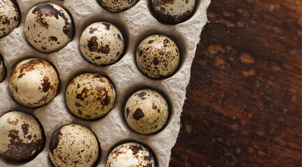 quail egg close-up on a wooden background