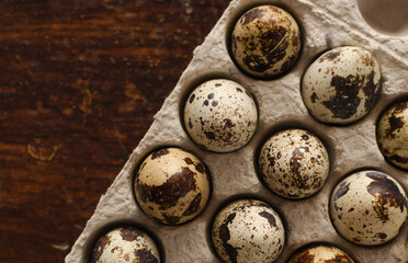 quail egg close-up on a wooden background