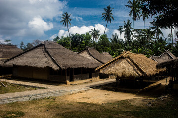 Fototapeta na wymiar hut in the jungle