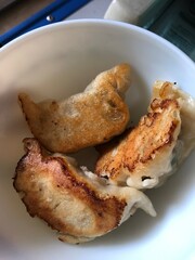 dumpling pot-stickers