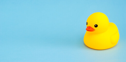 Yellow bathing duck squeaker toy on a blue background. Rubber duckling close-up on the right on a wide banner.