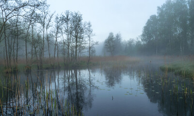 landscape with fog in the morning, mystical fog on the river, blurred grass and tree contours